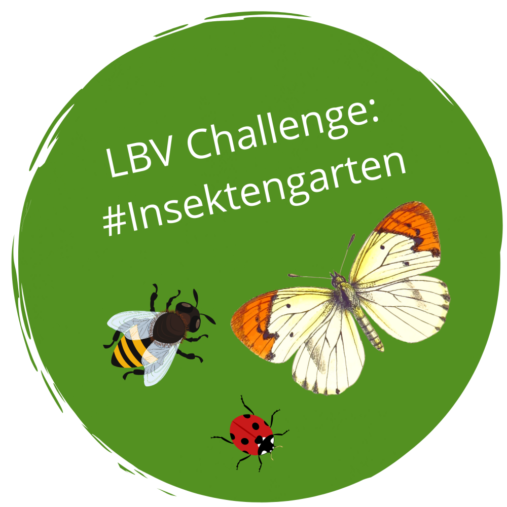 Challenge #Insektengarten 