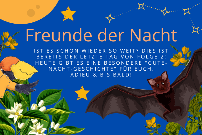 LBV-Familientipp Tag 14 Freunde der Nacht, Fledermaus und Willi